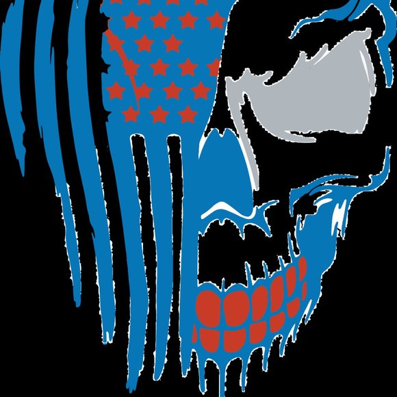 Detroit Lions - Picture 2 of 4